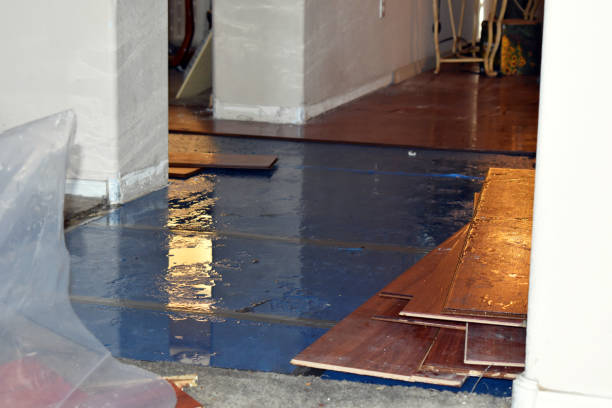 Professional Flood Damage Repair technician working in Bernard, ME